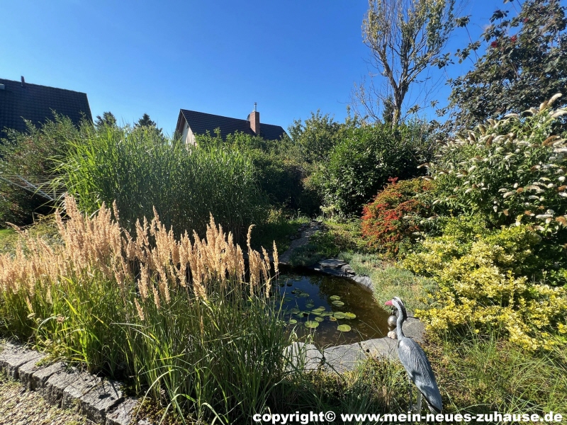 Bild 15 Gartenteich Einfamilienhaus Cottbus