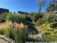 Bild 15 Gartenteich Einfamilienhaus mit Einliegerwohnung in ruhiger Lage -  Eigennutzung mit Vermietungspotential!