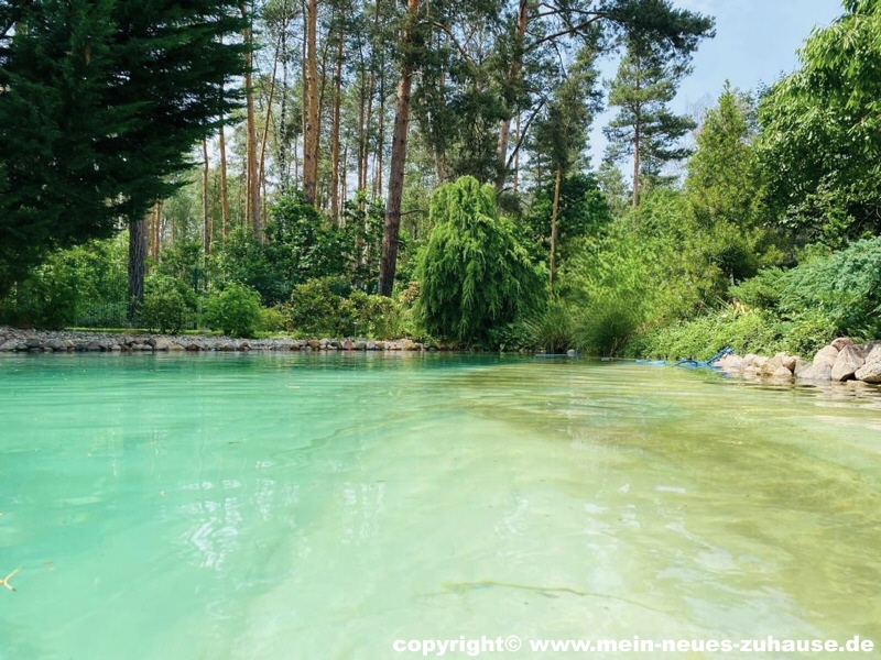 Bild 13 Ansicht Pool Bungalow Cottbus